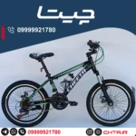 دوچرخه چیتا سایز 20 اورسایز ترمز دیسکی مشکی سبز با قمقمه