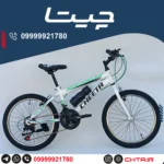 دوچرخه چیتا سایز 20 دنده کلاجدار سفیدسبز طوقه استیل با قمقمه