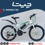 دوچرخه چیتا سایز 20 دنده کلاجدار سفید سبز طوقه مشکی با قمقمه و گلگیر